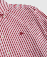 SPTFT LS FDY POPLIN STP BengalRed