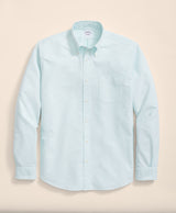 SPT FDY OX CANDY STRIPE BermudaCandyStp