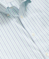 SPT STR NI OX ALT STRIPE LS SLIM GrnAltS