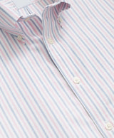 SPT STR NI OX ALT STRIPE LS REGULAR Pink