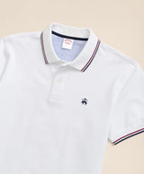 KNT PIQ TIPPED TENNIS SS POLO OF Bright