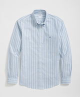 SPT ML STR NI OX LS FALL STP REGULAR Blu