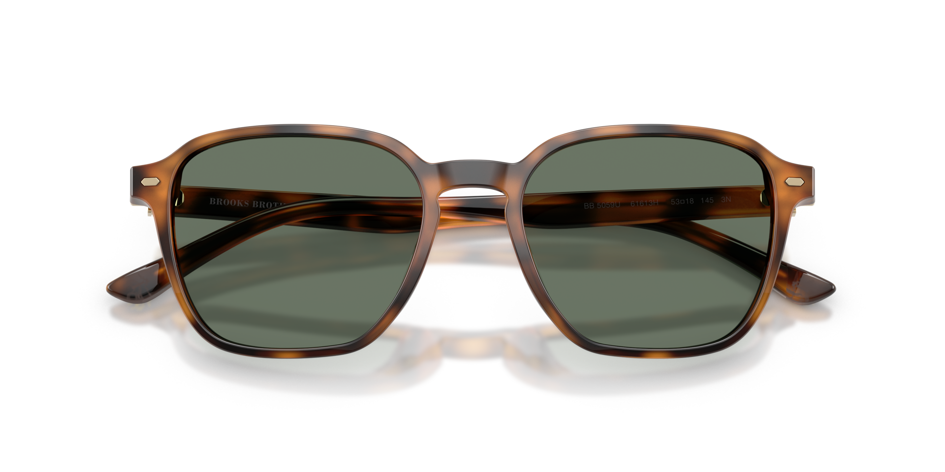 IRREGULAR WARM TORTOISE