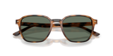 IRREGULAR WARM TORTOISE