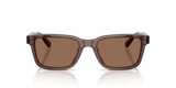 RECTANGLE BROWN