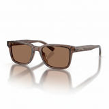 RECTANGLE BROWN