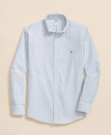 SPT STR NI OX ALT STRIPE LS REGULAR Blue
