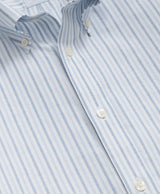 SPT STR NI OX ALT STRIPE LS REGULAR Blue