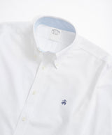 SPTFT NI Oxf Stretch Solids LS REGULAR W