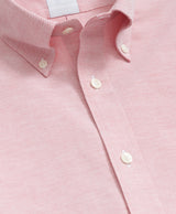 SPT STR NI OX SS FALL SOLIDS REGULAR Poi