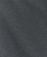 Golden Fleece Stretch Supima Long-Sleeve Polo Shirt