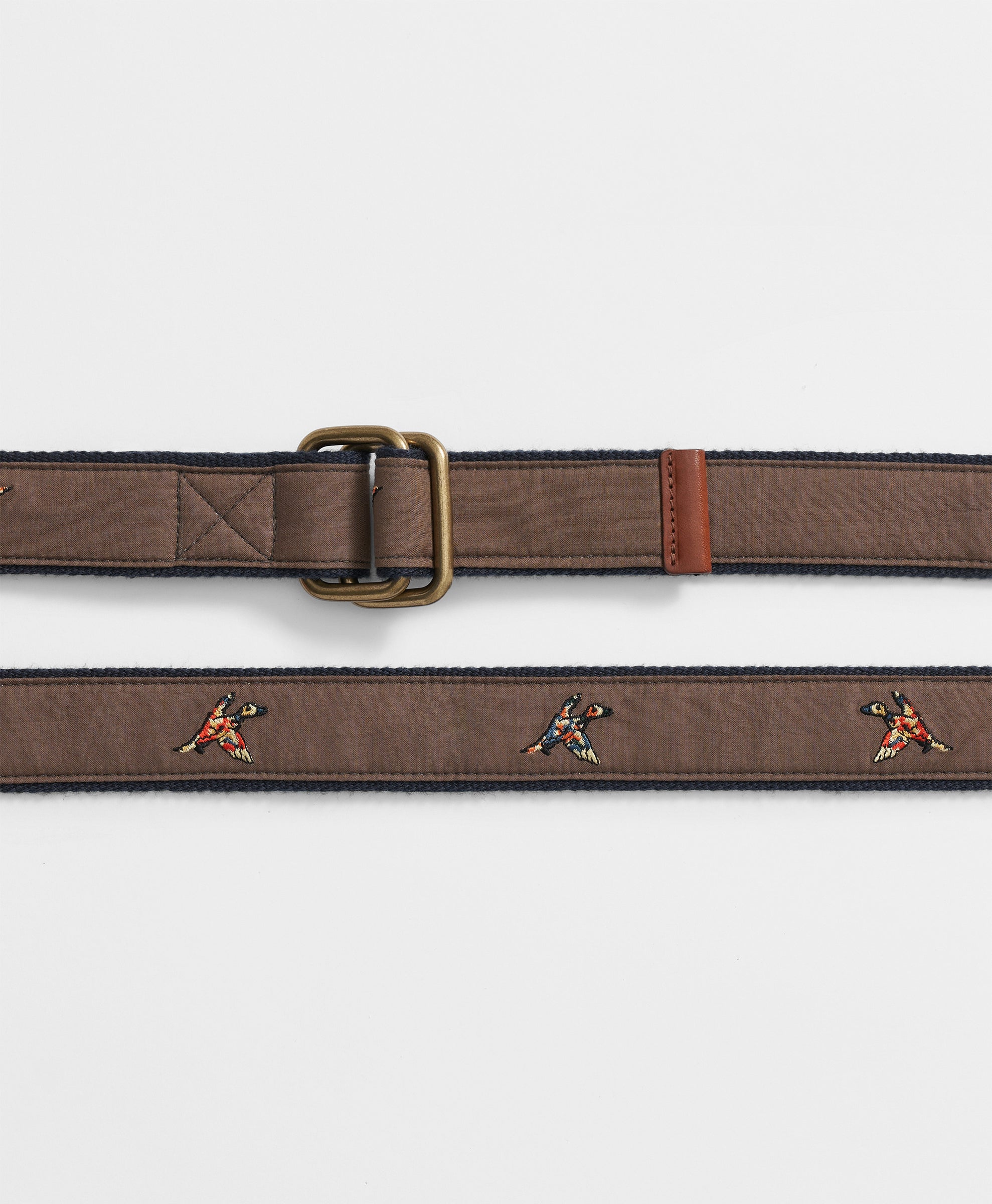 BELT DUCK D-RING RIBBON Assorted